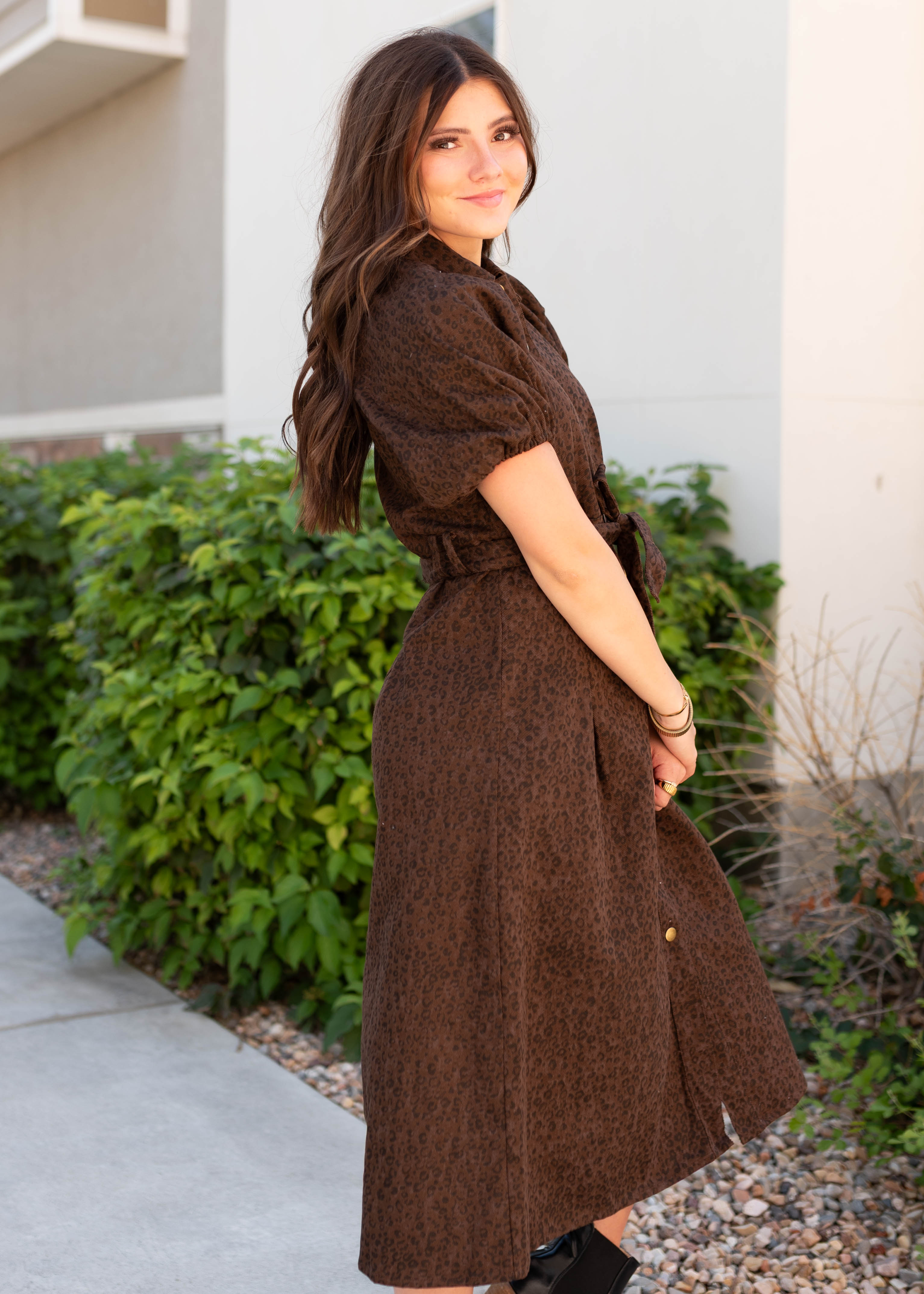 Bonnie Brown Leopard Dress