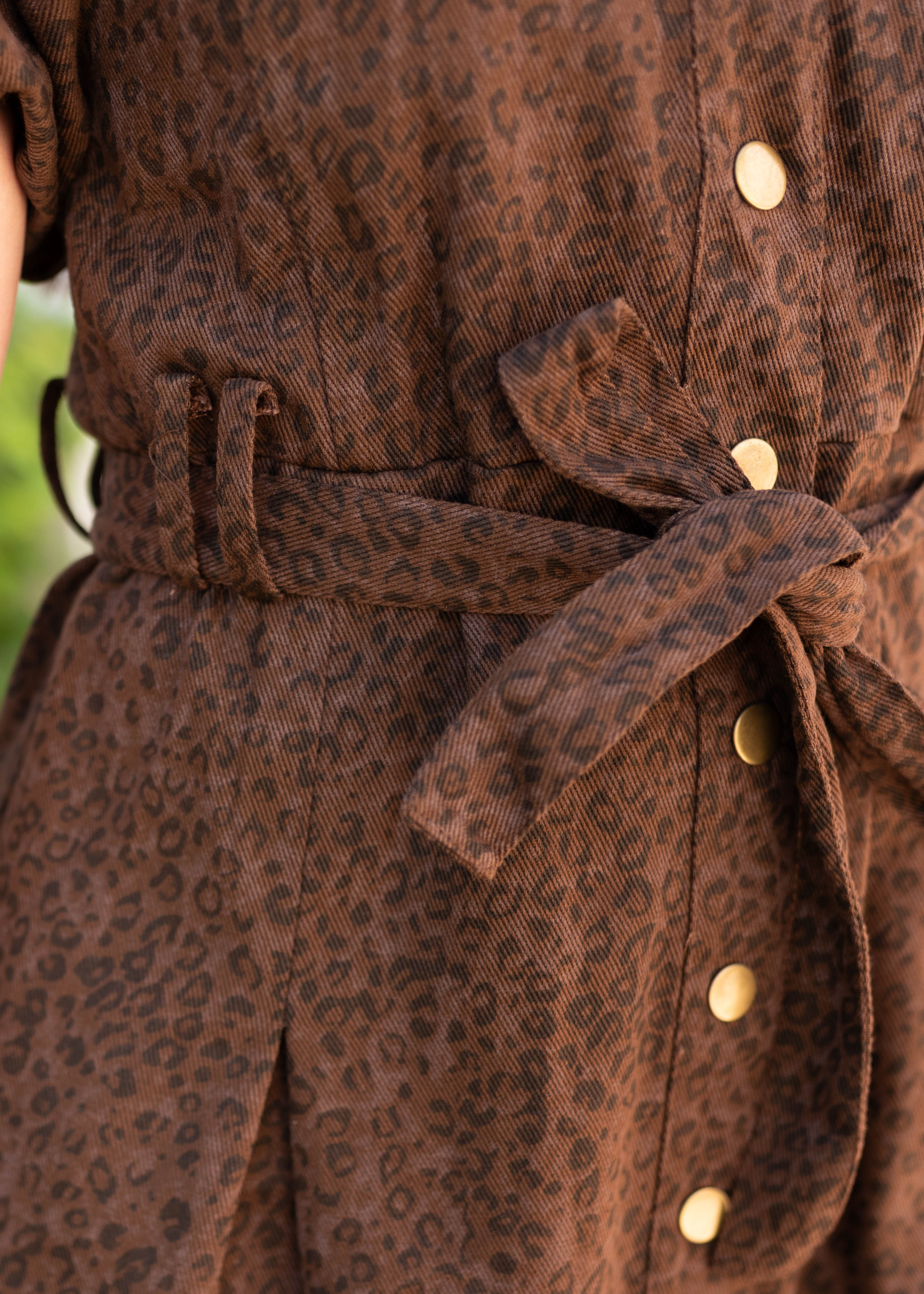 Bonnie Brown Leopard Dress