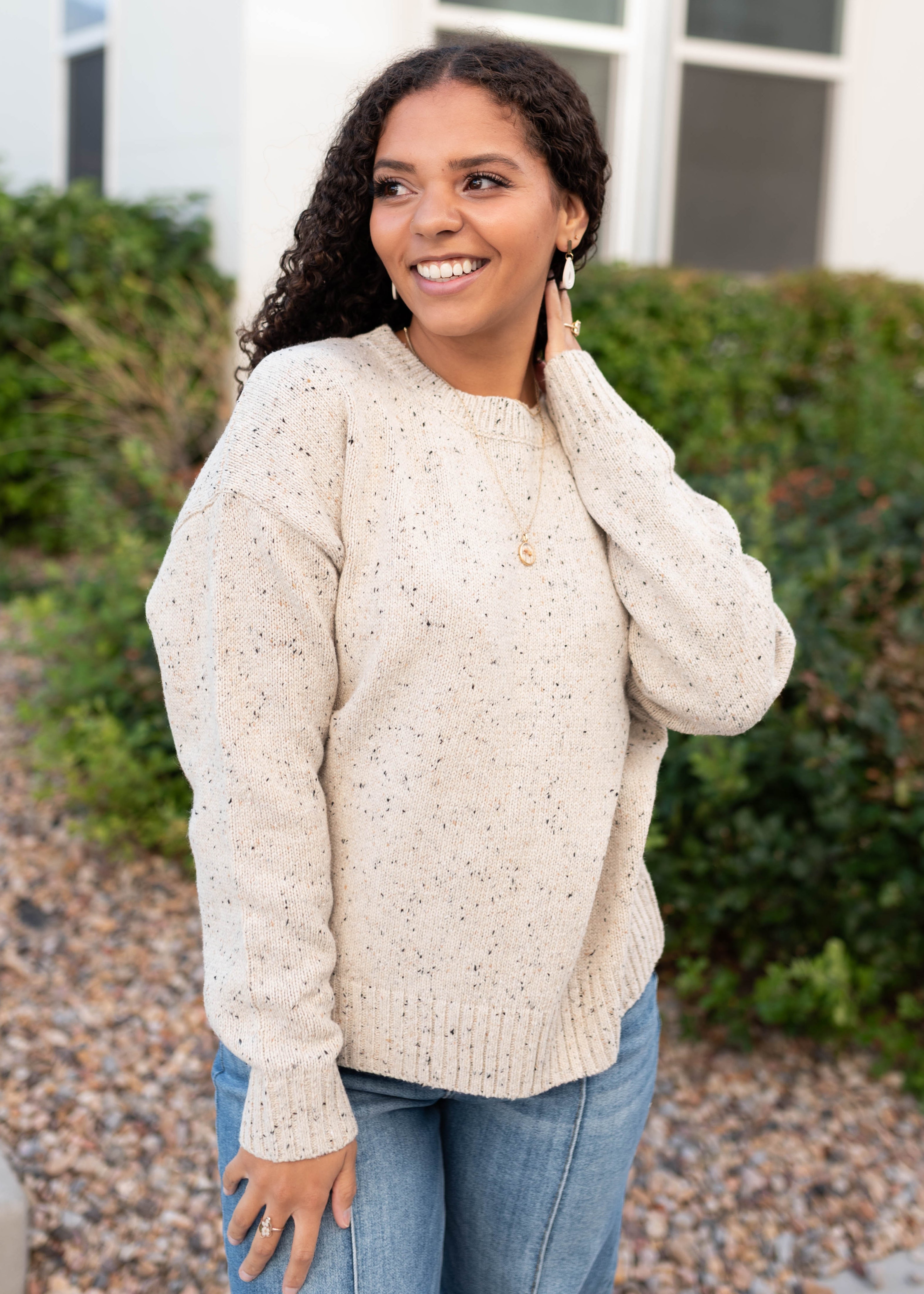 Spencer Speckled Taupe Knit Sweater