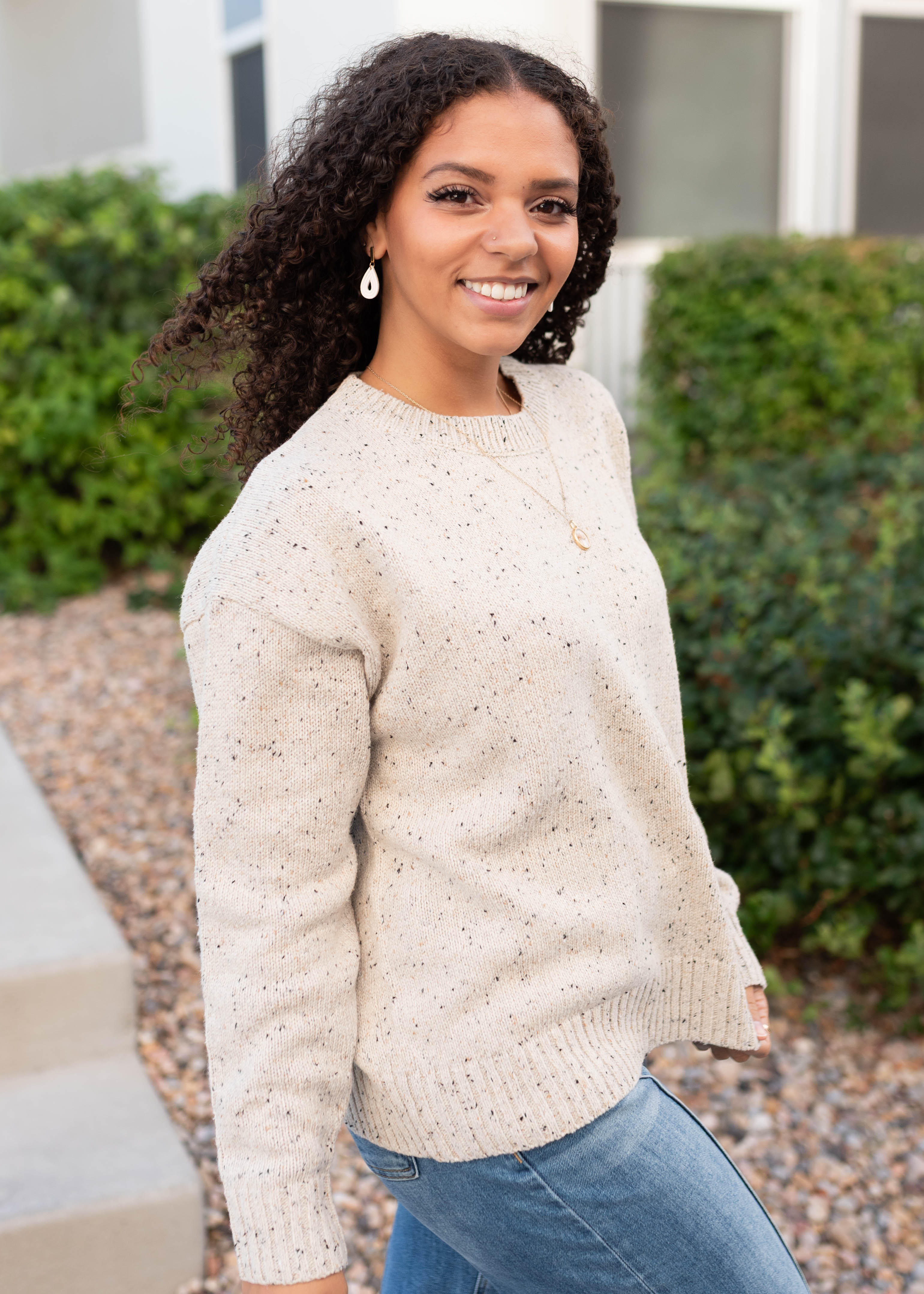 Spencer Speckled Taupe Knit Sweater