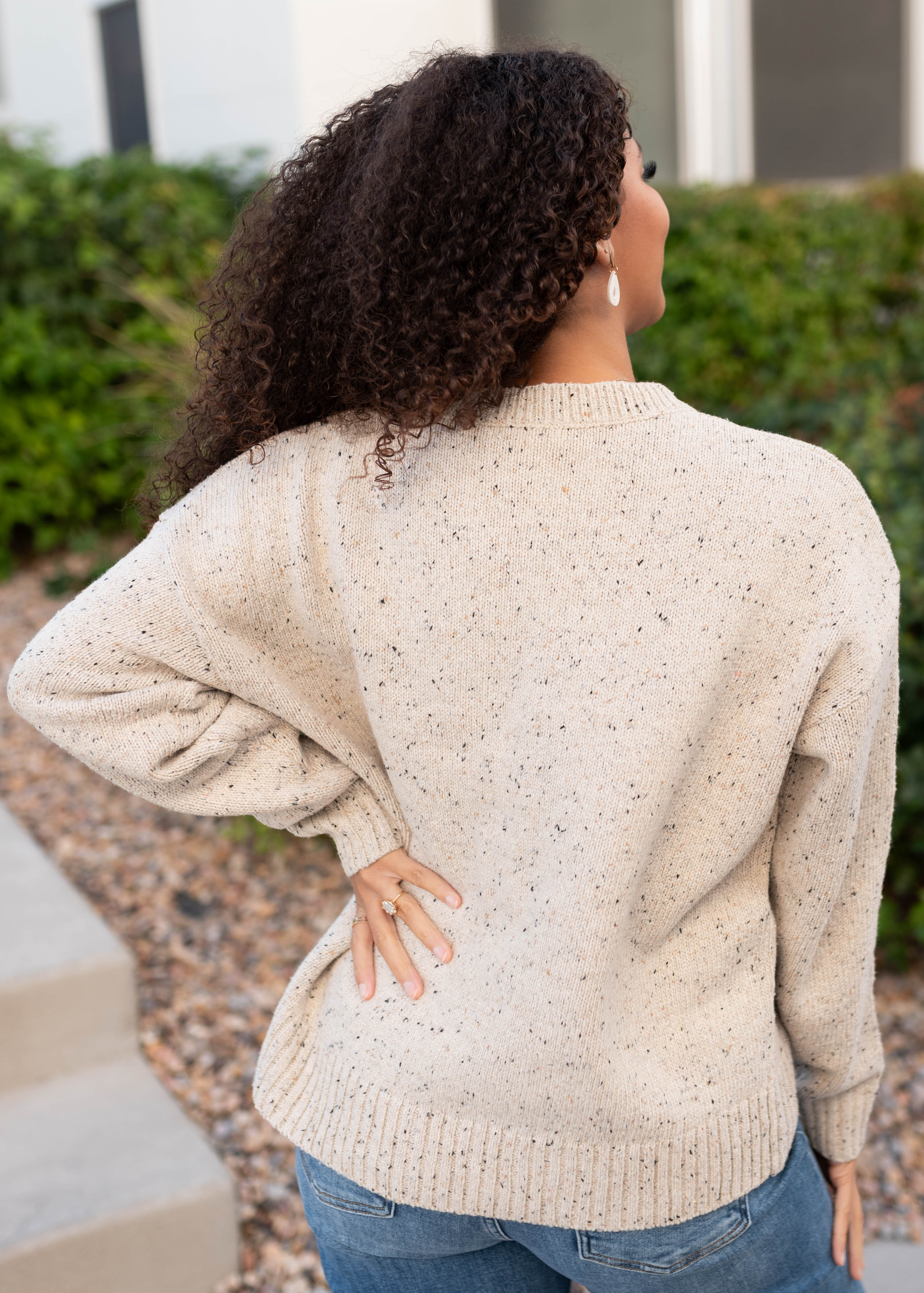 Spencer Speckled Taupe Knit Sweater